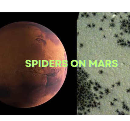 Spider On Mars